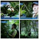 코리아헌터 이미지