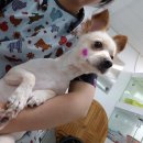 D&C 그루밍 샵 이미지