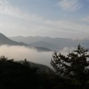 길섶 이미지