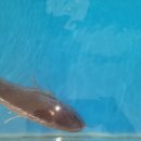 원실내바다낚시터 이미지