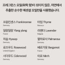이너플랏