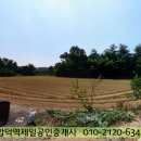 대지 이미지
