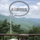 보헤아