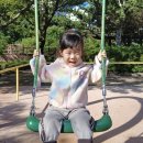 노형근린공원 이미지