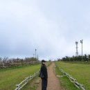 휘닉스 호텔 | 휘닉스파크 평창 호텔 수페리어 트윈, 조식, 곤돌라 후기 ♪ 강원도 단풍여행