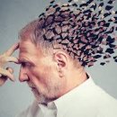 치매예방 기체조 이미지