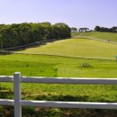 서정목장 이미지