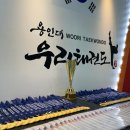 우리태권도 이미지