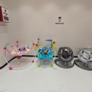 월드킹 경주보스케점 이미지