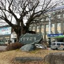 한식자격증반 이미지