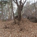 우장산둘레길 이미지