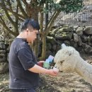 알파제주 | 제주 화조원다녀온후기❣️