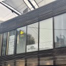[도쿄여행] 혼자 떠난 도쿄여행(6) | 1일차 - 하라주쿠(캣스트리트), 시부야(하치코동상/시부야스크램블...