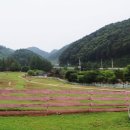 매내골 농장 이미지