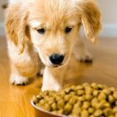 그레이 동물병원 이미지