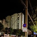 제일 | 꼭 가야 할 제일시장 충남곱창 백곱창 포장으로 먹은후기 곱창초보자가능