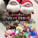 견생냥품 24시 무인펫샵 평택 고덕국제점 | 평택고덕 인형뽑기방 오락실 위치 &amp; 인형사진 공유