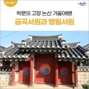 행림미디어