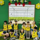 남초병설유치원 이미지