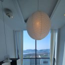 마레모어 이미지