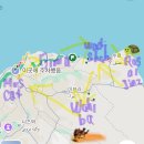 5월 오만여행 🇴🇲 무스카트 3박 4일 바다거북이와 수영을 🐢 🌊