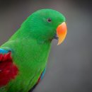 상관농장 이미지