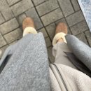 광산진미