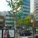 엔제리너스 강남역점 | 오늘의 잡설 - 2025.10.19 (일)