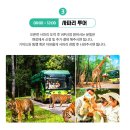 기린환경 | 푸꾸옥 빈펄 사파리 입장권 오픈런 기린먹이 후기