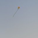 다이소산본