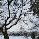 유명카센타 이미지