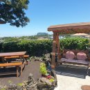 복순이네 이미지