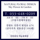 교동꽃화원 이미지