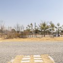 평화오토 이미지