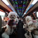 해돋이농장 이미지