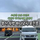 암남항 | 부산 영도 가덕도 기장 차박 바다낚시 포인트 총정리