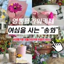 꽃향기가득한 | 영통 카페 송화, 향긋한 꽃향기 가득한 플라워카페 꽃다발 구매 가능한 분위기카페