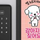 에스엔앰