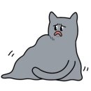 김동물병원 이미지