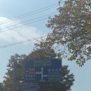 김천우체국 | 2025 김천 김밥축제 애견동반 2시간 대기 후기