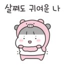 가장맛있는족발 청양점 이미지