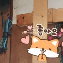 태영전업사 - 동구 중진길 2 | 태영전업사