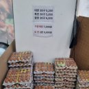 계룡한우정육점