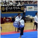 대호태권도 이미지