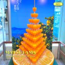 인천버스터미널 관광안내소 | 인천 마쓰야마 직항 입국심사와 한국인 쿠폰 공항버스