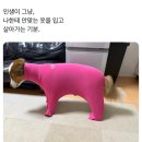 퀸크라이에브리데이