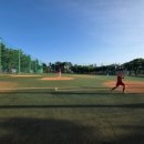 을숙도 리틀야구장 이미지