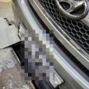 하마모터스 이미지