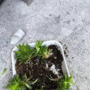 은행나무작은도서관 이미지