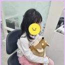 서울정다운치과의원 | 영등포 당산 치과 추천 '서울 슬기로운 치과의원' 소아 유치 발치 솔직 후기
